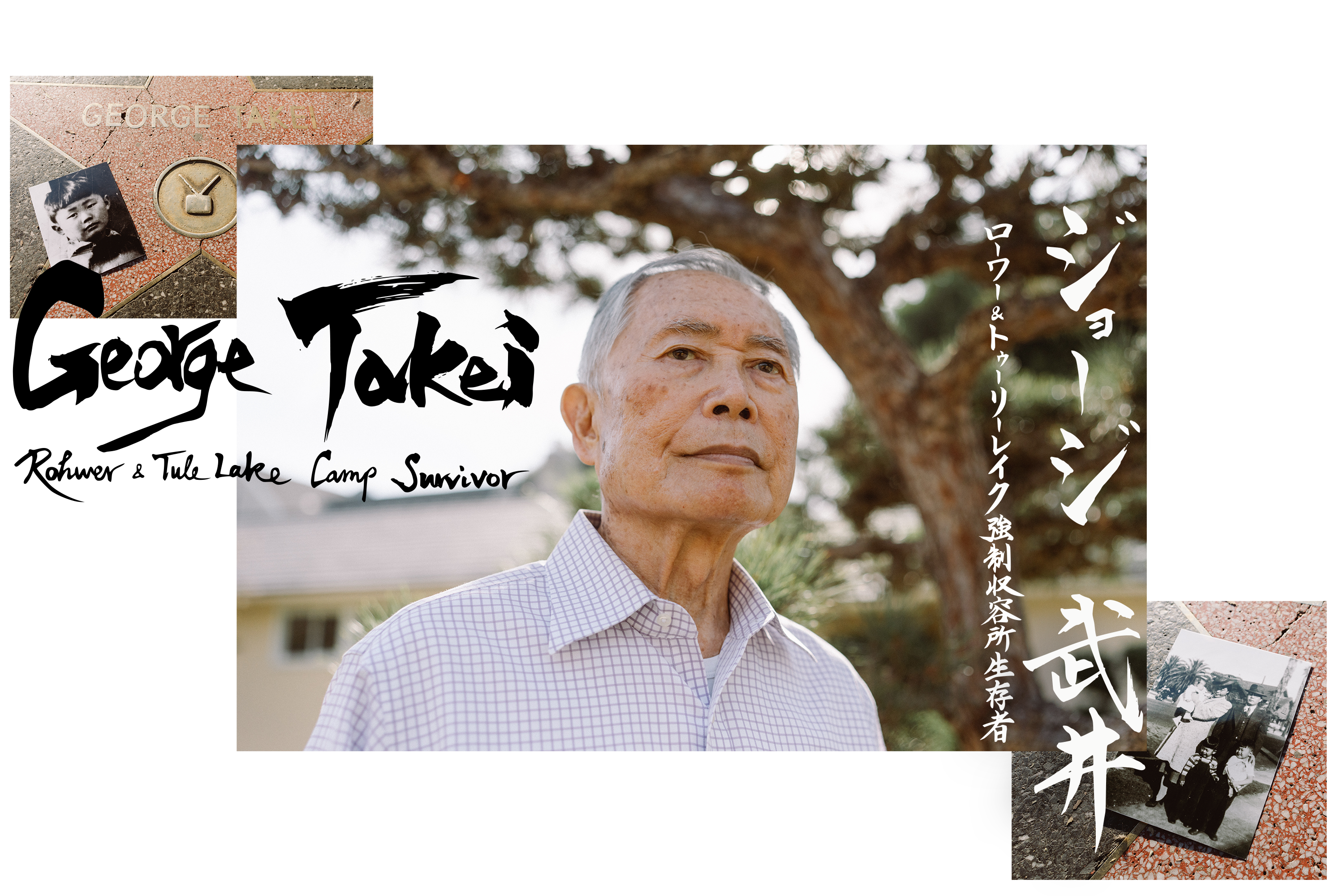 AOI_3_GeorgeTakeiHeader